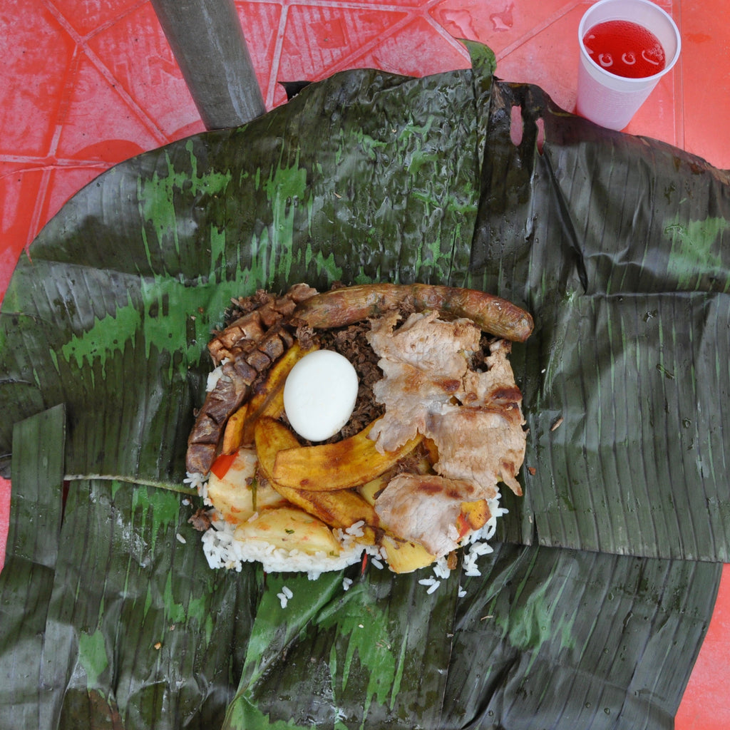 The Scents of Life in the Cup