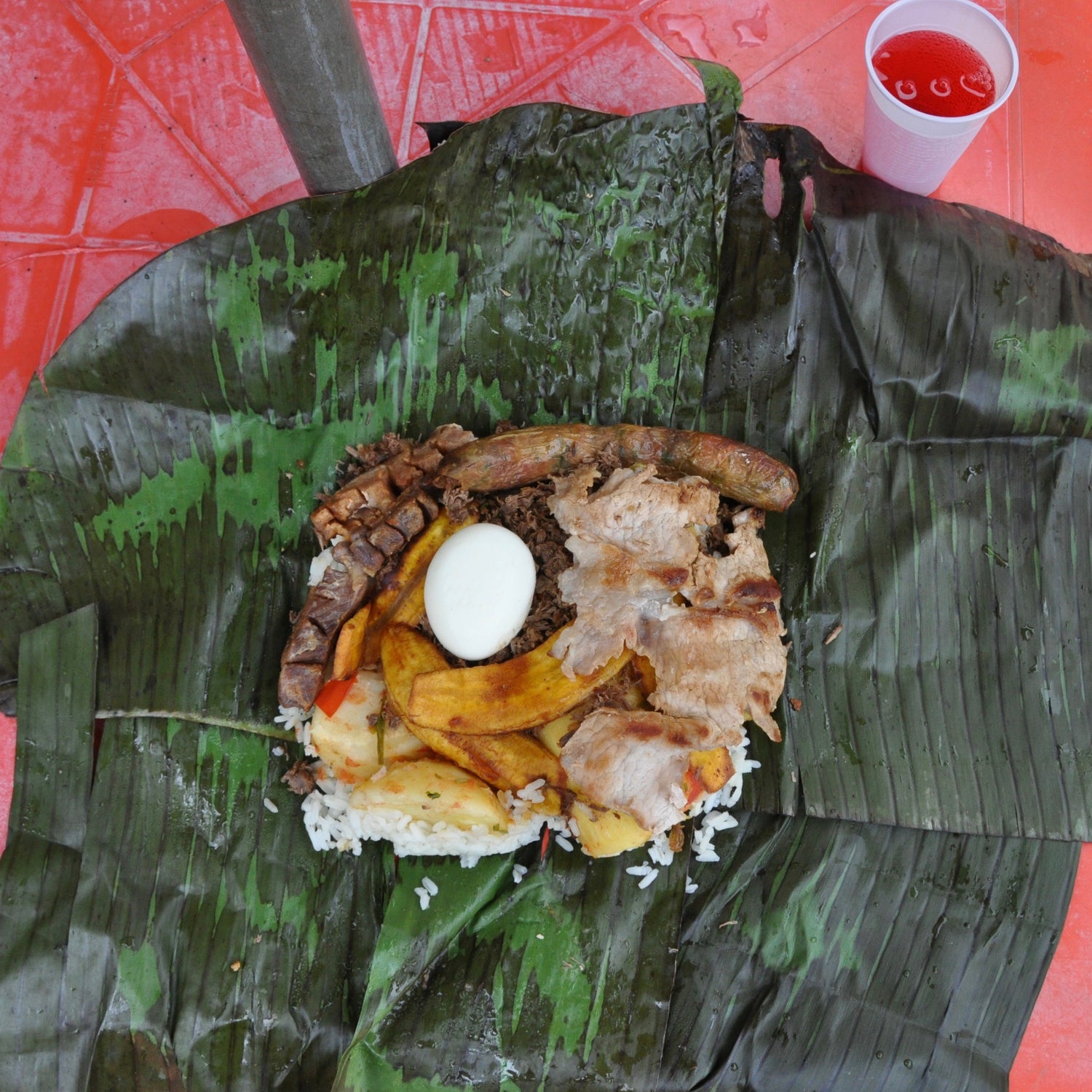 The Scents of Life in the Cup