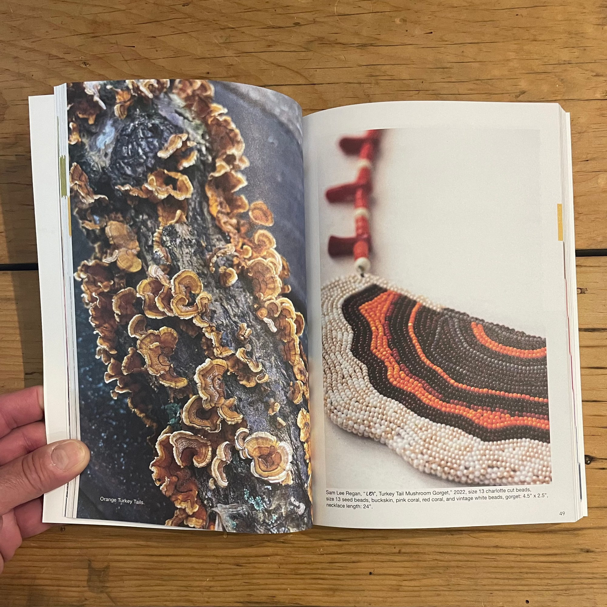 Creative Field Guide to Northeastern Oklahoma