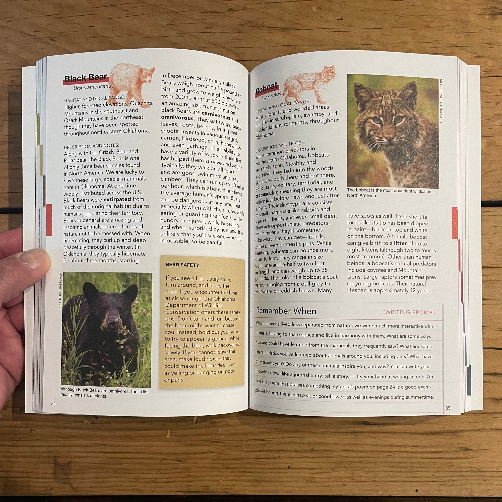 Creative Field Guide to Northeastern Oklahoma