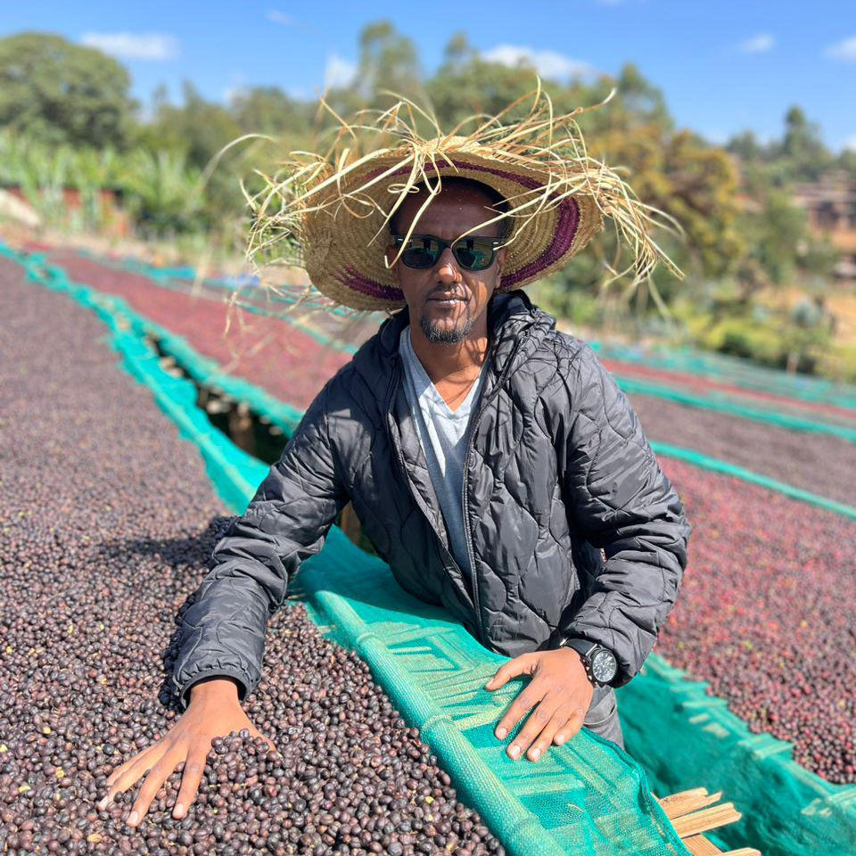 Ethiopia Buku Abel Anaerobic Natural