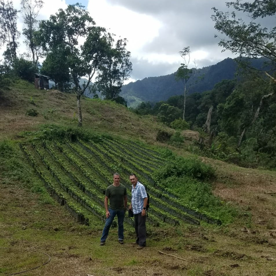 Nicaragua Finca Massif Anaerobic