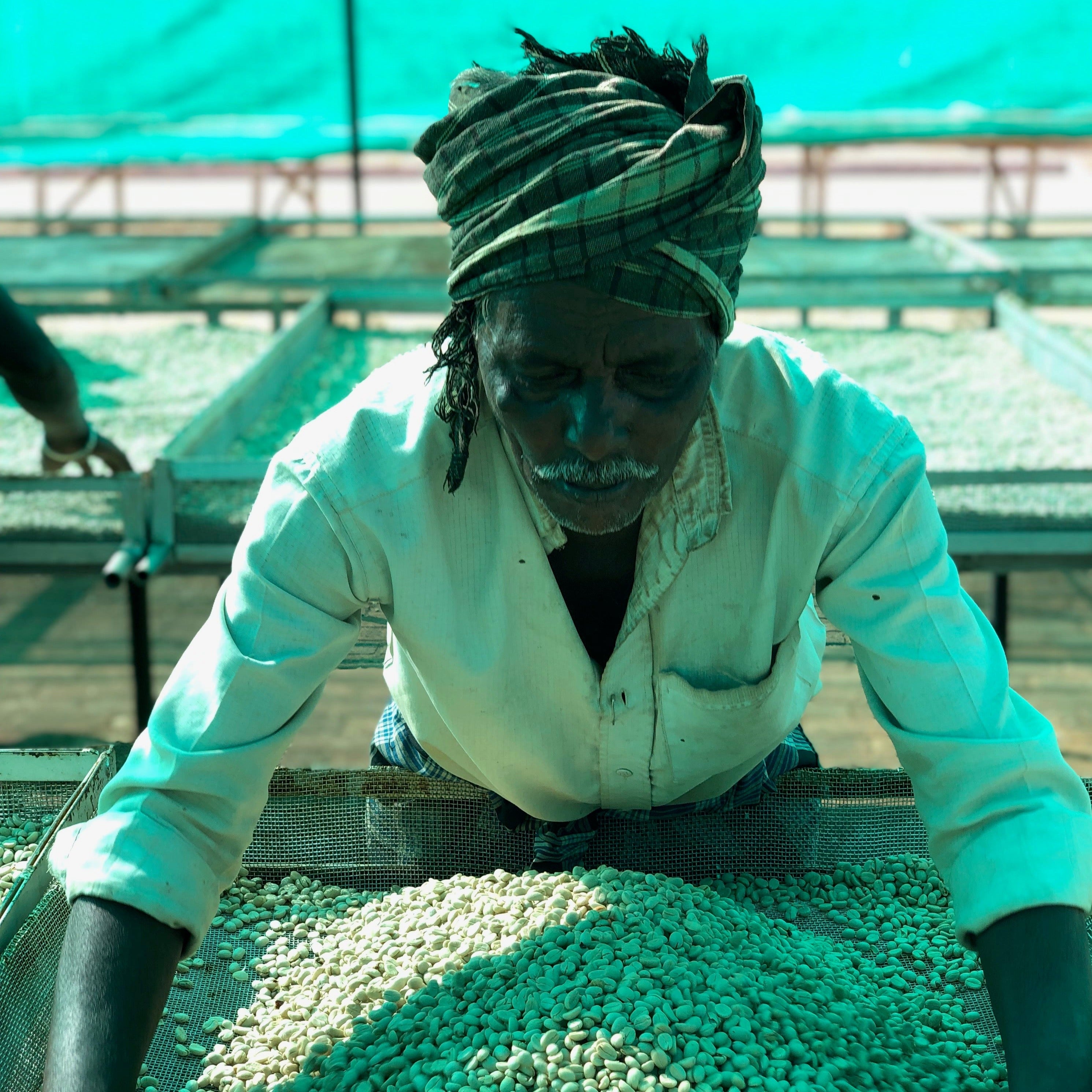 Sumatra Mutu Batak DoubleShot Coffee Company sumatra-mutu-batak-doubleshot-coffee-company