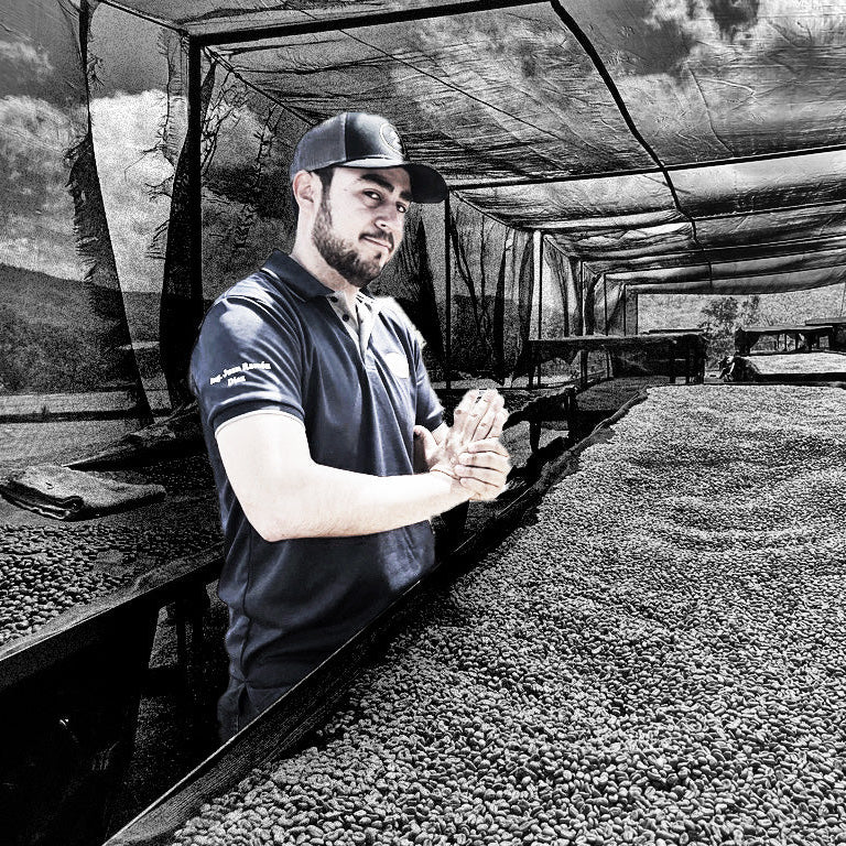 Nicaragua La Dueña Pacamara natural