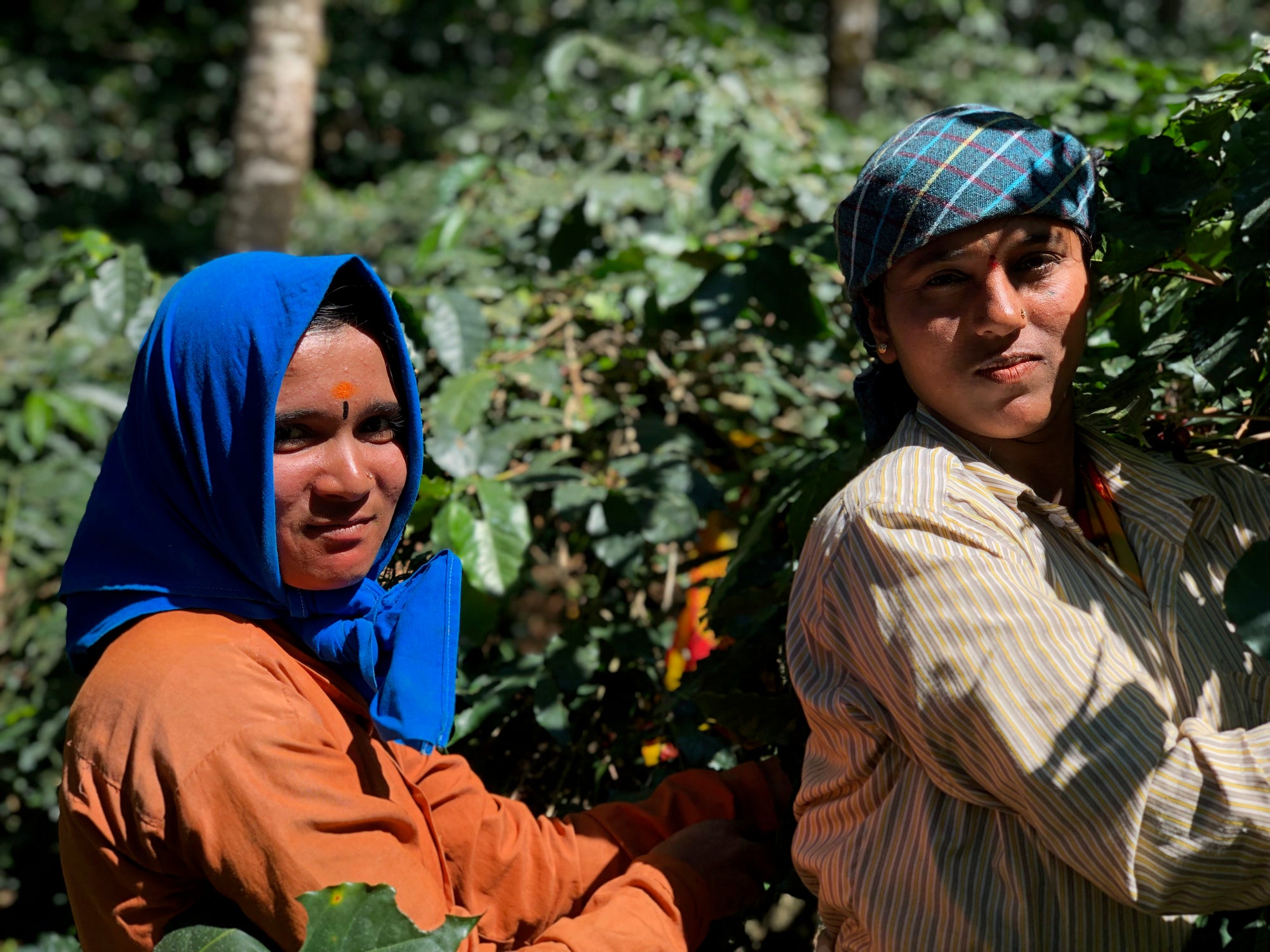 India Devon Plantations